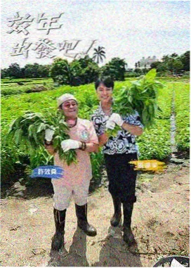看电影 向往的生活 治愈综艺